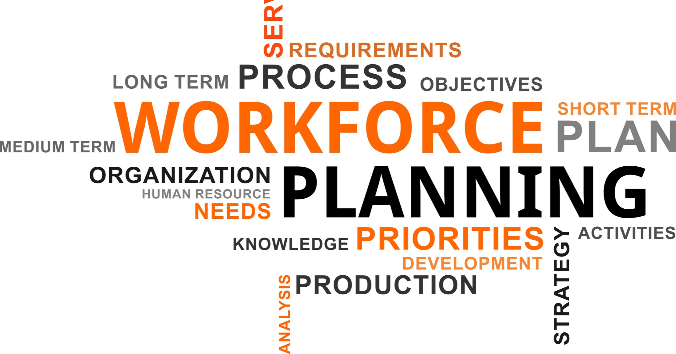 Workforce management software (WFM)
